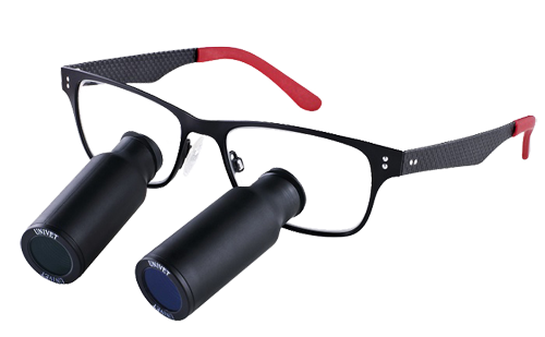 ΕΙκόνα TTL Prismatic